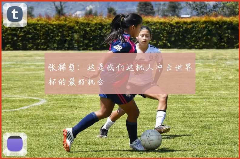 张稀哲：这是我们这批人冲击世界杯的最好机会