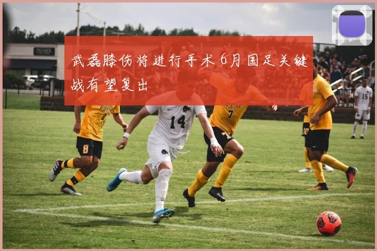 武磊膝伤将进行手术 6月国足关键战有望复出